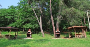 Sakarya İl Ormanı Tabiat Parkı: Giriş Ücreti, Ulaşım, Göl ve Gezilecek Yerler