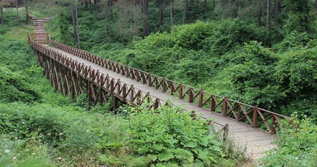 Şamlar Tabiat Parkı